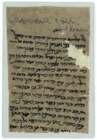 Ms heb 8333 434ie15953733 ms heb 8333 434ie15953733